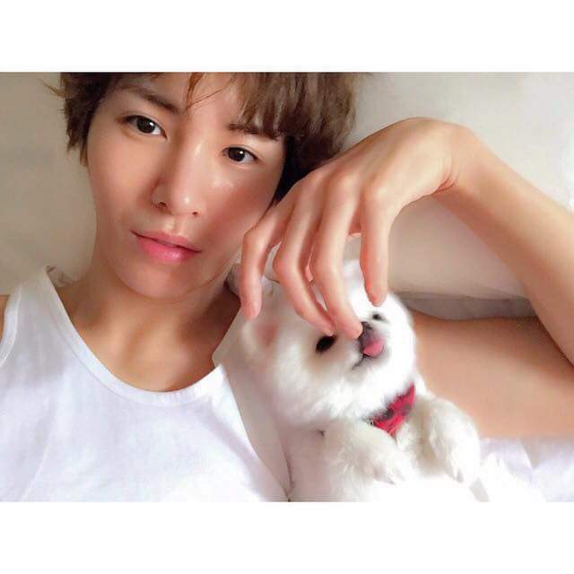 기사까지 났던 노민우네 강아지 모모.jpg | 인스티즈