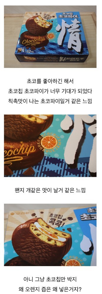 파워블로거의 초코칩 초코파이 리뷰 | 인스티즈