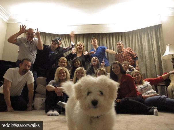 가족 사진찍는데 난입한 강아지 | 인스티즈