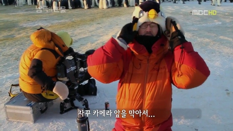 펭귄한테 역관광 당한 사람들 | 인스티즈