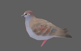 모션 디자이너의 고통 | 인스티즈