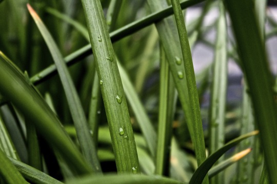  미리 말해주는 것 | 인스티즈