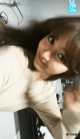 [트와이스] 모모 따라하는 멤버들 | 인스티즈