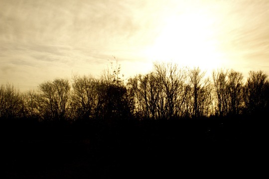  미리 말해주는 것 | 인스티즈