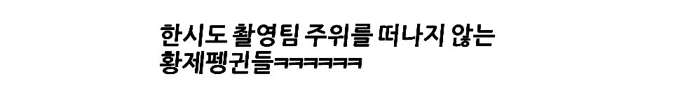 펭귄한테 역관광 당한 사람들 | 인스티즈