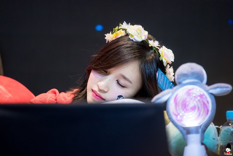 묘이 미나.jpgif | 인스티즈