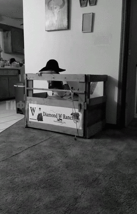 아들이 아빠의 퇴근만 기다리는 이유 | 인스티즈