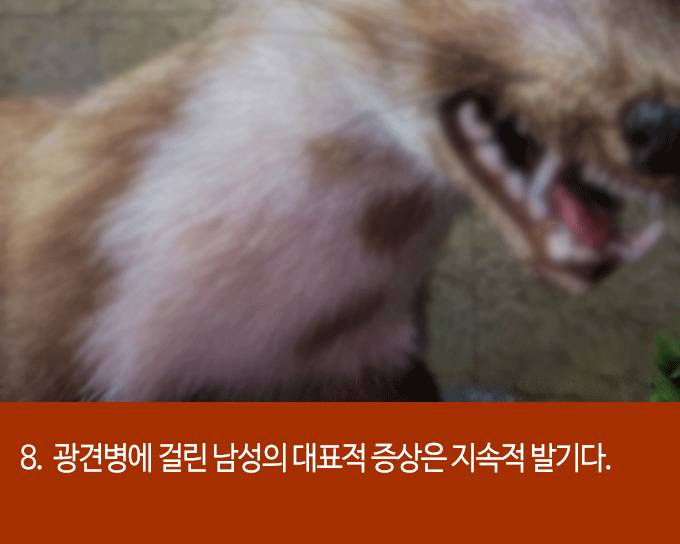 발기에 대한 흥미로운 22가지 사실들 | 인스티즈