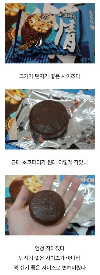 파워블로거의 초코칩 초코파이 리뷰 | 인스티즈