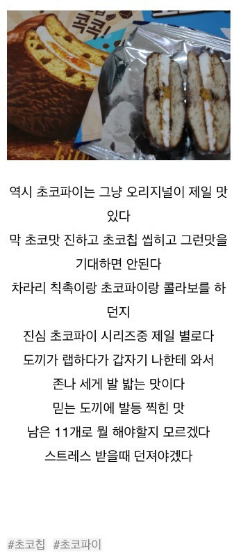 파워블로거의 초코칩 초코파이 리뷰 | 인스티즈