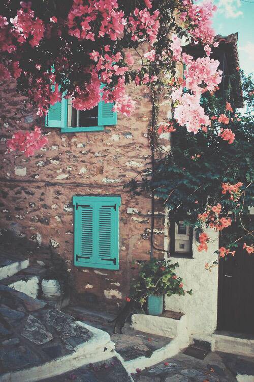  걷고 싶은 거리 고르기 | 인스티즈