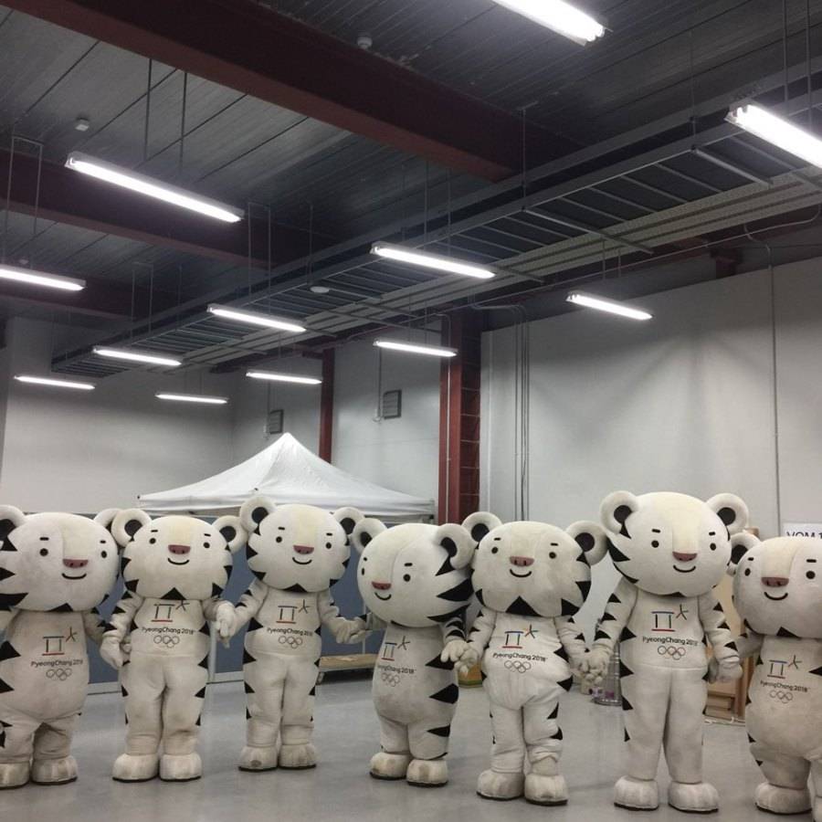 고생한 수호랑들 | 인스티즈