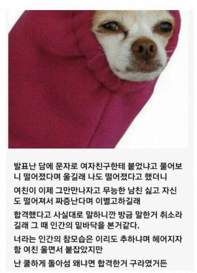 공시생 커플의 최후 | 인스티즈