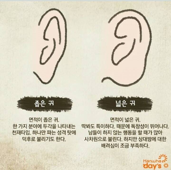 귀모양으로 보는 성격! | 인스티즈