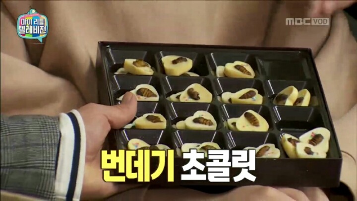 [마리텔] 미래 식량 연구한다는 조영구 장모님 | 인스티즈