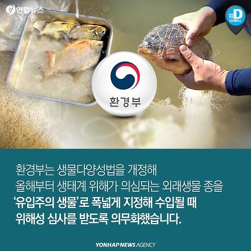 다시 관심받는 뉴트리아의 항변 .. | 인스티즈