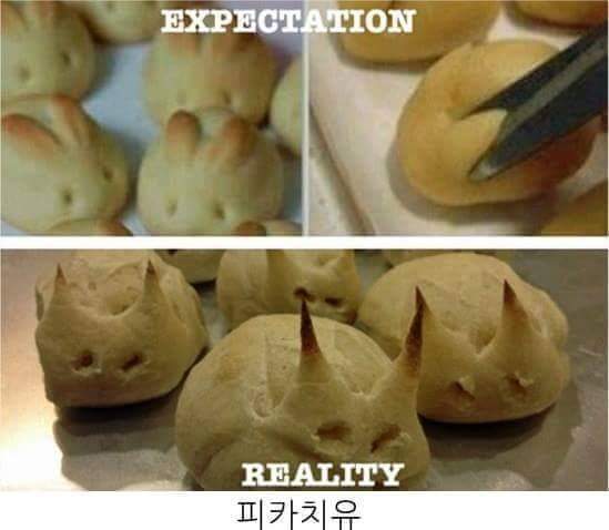 요리고자들의 이상과 현실 | 인스티즈