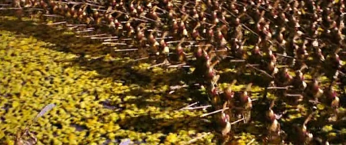 뭐든지 많은 것이 최고임을 강조하는 쭝국 영화.jpg | 인스티즈