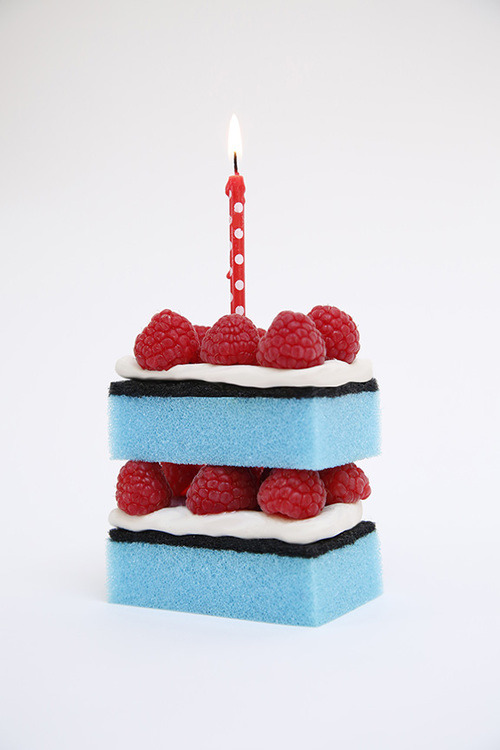 뇌가 말랑해지는 느낌의 이색적인 조화 . jpg | 인스티즈