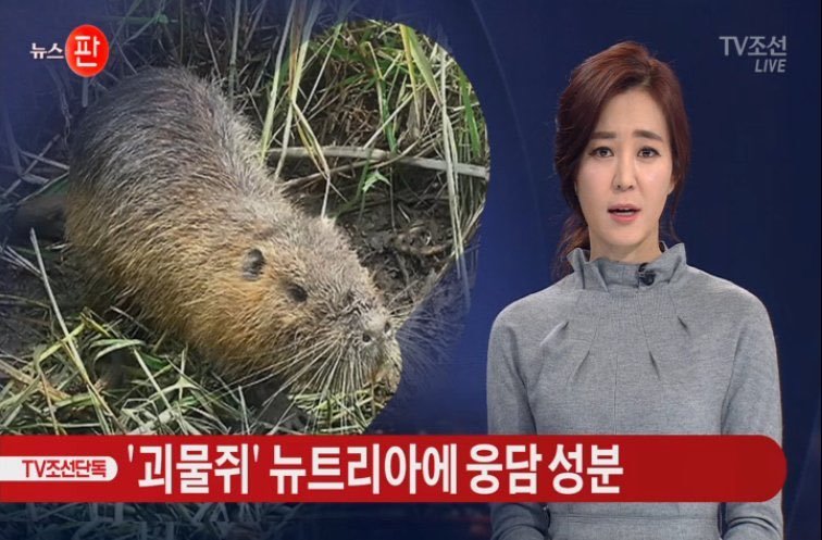 뉴트리아 문제 해결 임박 | 인스티즈