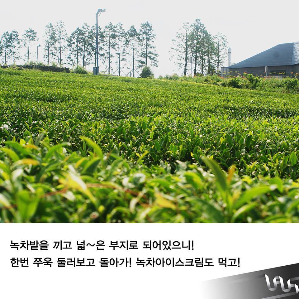 제주도 가볼만한 건축물 | 인스티즈