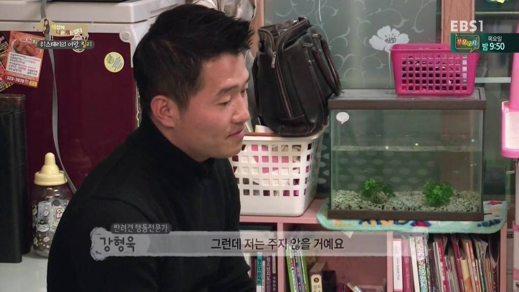 [세상에나쁜개는없다] 가족들에게 짖고 무는 강아지 릴리햏 | 인스티즈