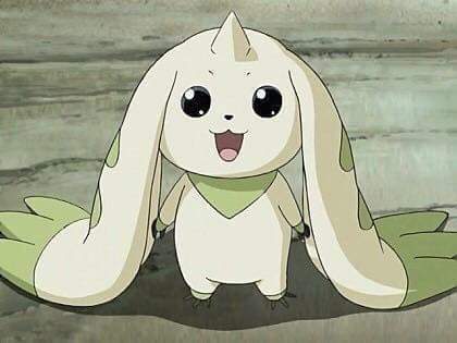 테리어몬 짤 모음 | 인스티즈