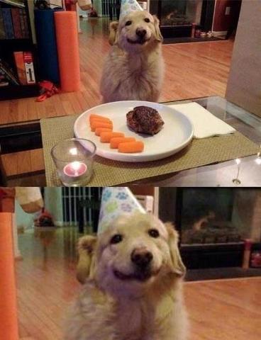 어느순간 인절미로 불리고 있는 멍멍이.jpg | 인스티즈