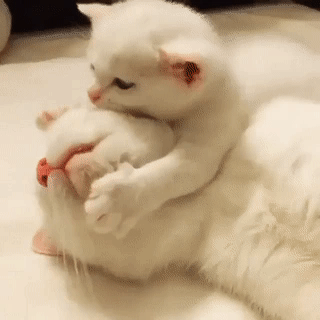 아빠 일어나 | 인스티즈