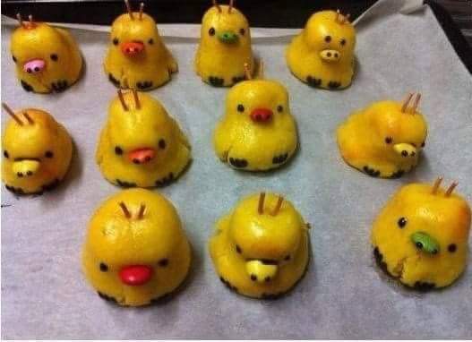 요리고자들의 이상과 현실 | 인스티즈