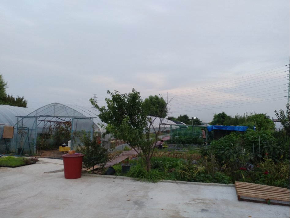 도심에서 즐기는 전원생활 | 인스티즈