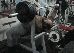 헬스트레이너 소환하는법.gif | 인스티즈