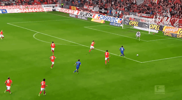 변함없이 한결같은 피르미누.gif | 인스티즈