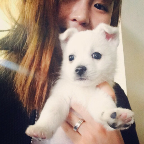 천사 아랑님 | 인스티즈