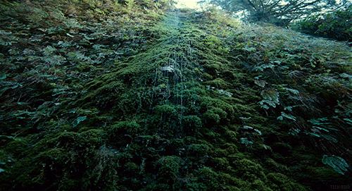  밤은 혼자 있고 싶은 것이다 | 인스티즈