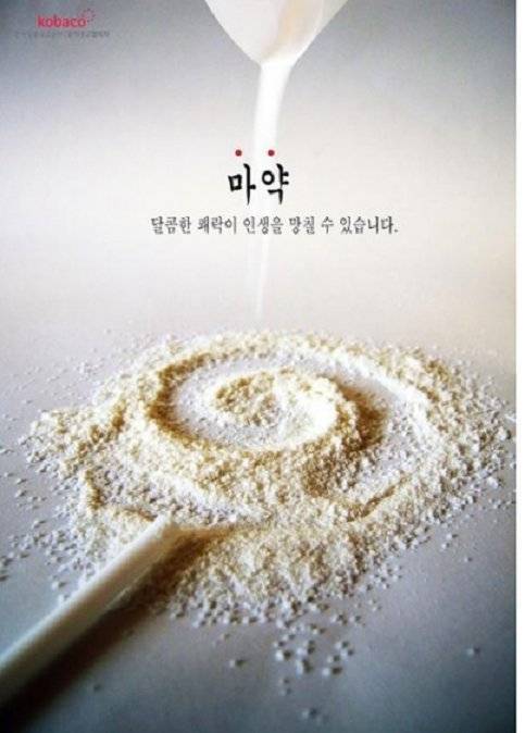 포켓몬스터 야돈의 비밀 | 인스티즈