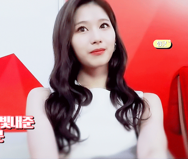 트와이스 사나 | 인스티즈