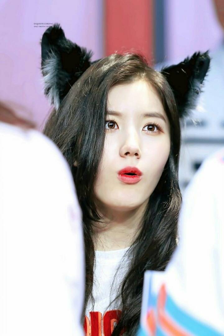 프리스틴 시연 | 인스티즈