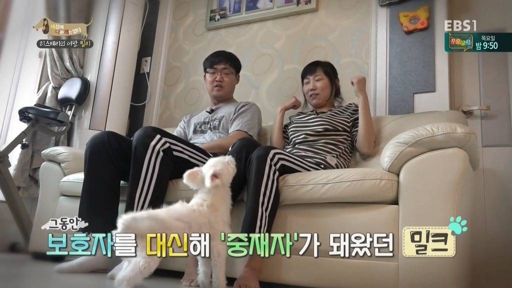 [세상에나쁜개는없다] 가족들에게 짖고 무는 강아지 릴리햏 | 인스티즈