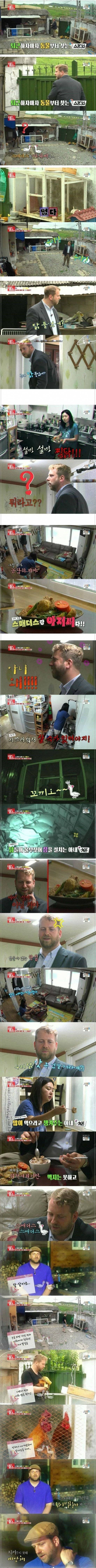 남편이 키우는 애완닭을 찜닭으로 만든 아내.jpg | 인스티즈