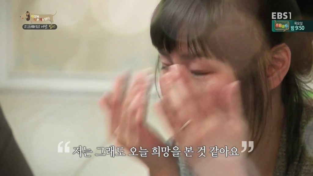 [세상에나쁜개는없다] 가족들에게 짖고 무는 강아지 릴리햏 | 인스티즈