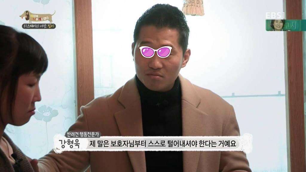 [세상에나쁜개는없다] 가족들에게 짖고 무는 강아지 릴리햏 | 인스티즈