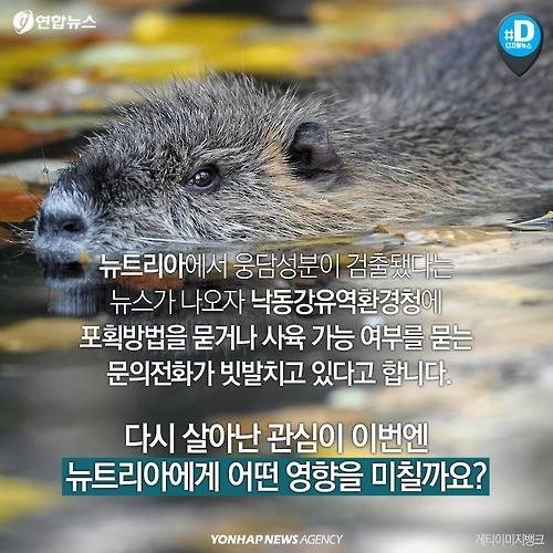 다시 관심받는 뉴트리아의 항변 .. | 인스티즈