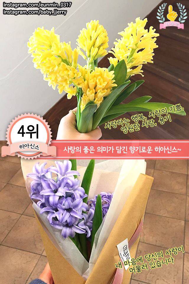여자친구를 위한 봄 꽃다발 BEST | 인스티즈