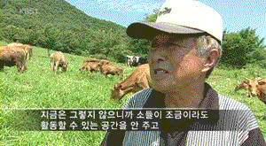 소가 밖에서 노래하면? | 인스티즈