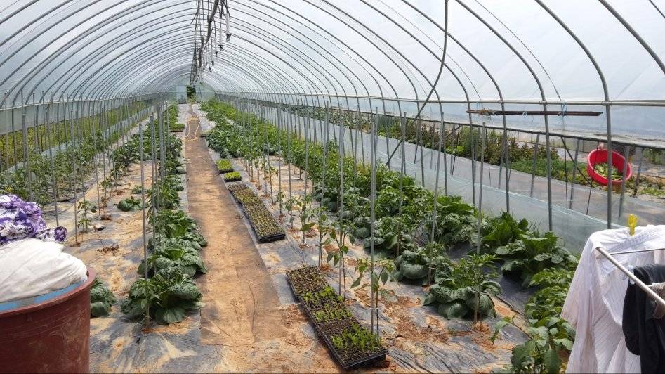 도심에서 즐기는 전원생활 | 인스티즈