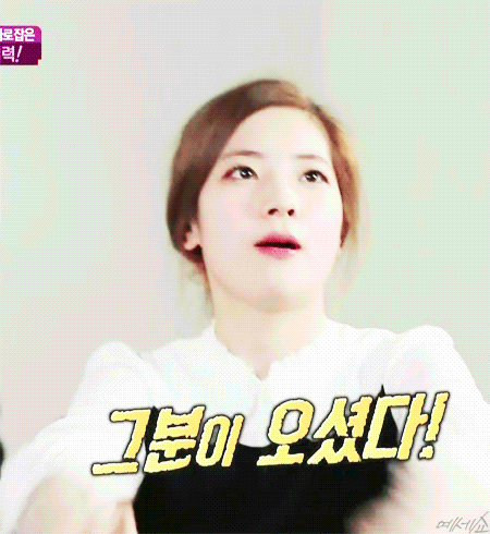 [트와이스] 트와이스 비글미 모음1 | 인스티즈