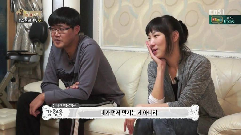 [세상에나쁜개는없다] 가족들에게 짖고 무는 강아지 릴리햏 | 인스티즈