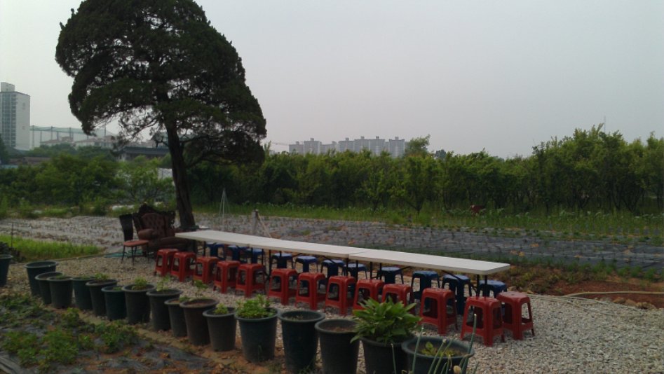 도심에서 즐기는 전원생활 | 인스티즈