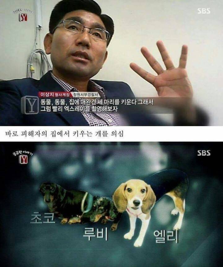 궁금한이야기Y 역대급 난제 ㄷㄷ | 인스티즈